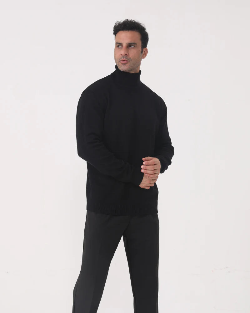 Monochromer Herrenpullover mit hohem Kragen